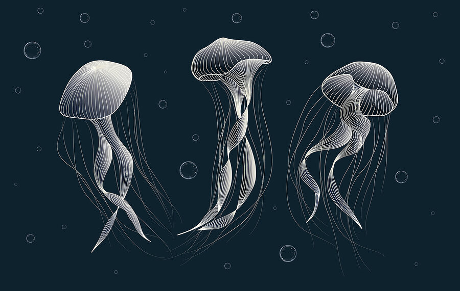 Grupo de medusas na água