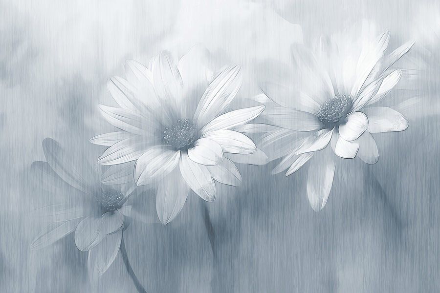 Grupo de flores brancas