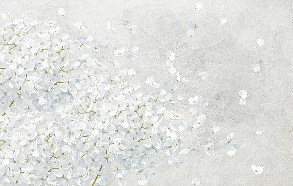 Ramo de flores brancas Ramo de flores brancas
