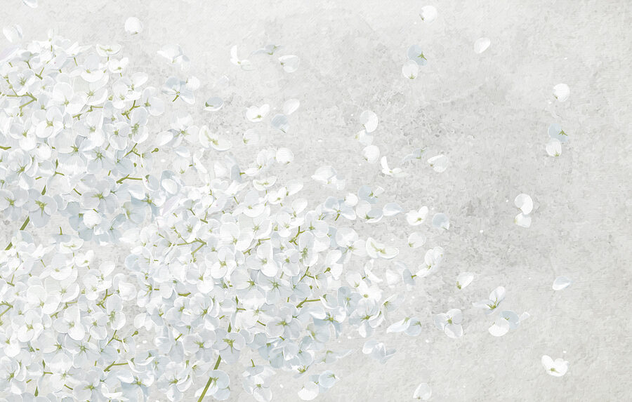 Ramo de flores brancas Ramo de flores brancas