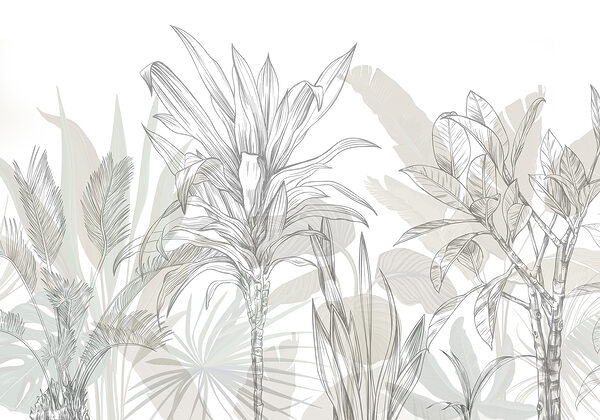 Grande plano de plantas Grande plano de plantas