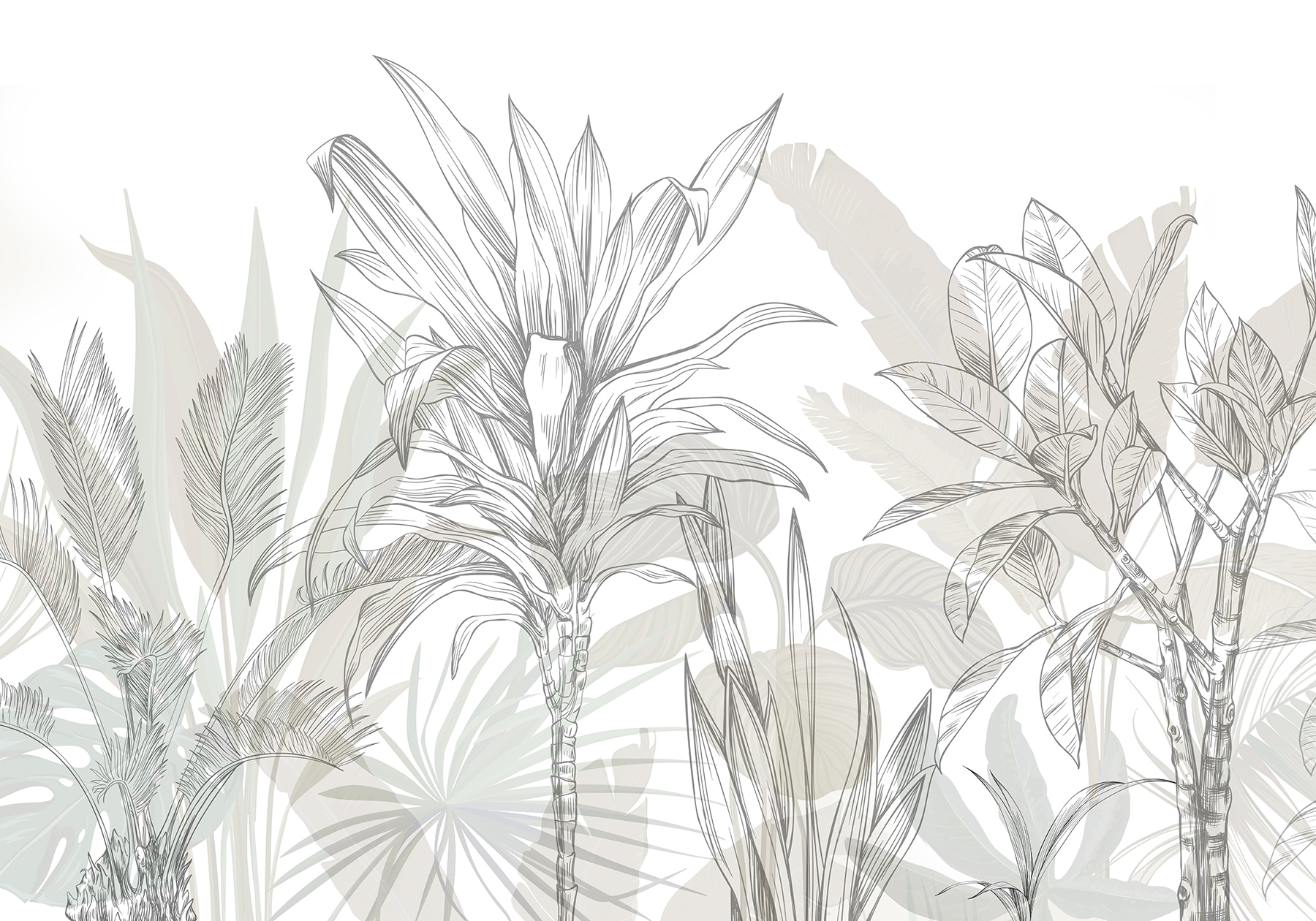 Close up of plants Close up of plants