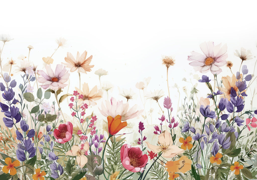 Grupo de flores sobre um fundo branco Grupo de flores sobre um fundo branco