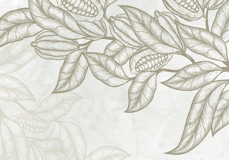 Planta com folhas e feijões