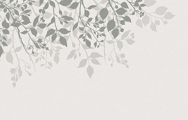 Fundo branco com folhas Fundo branco com folhas
