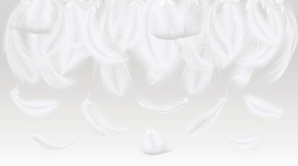 White feathers falling down