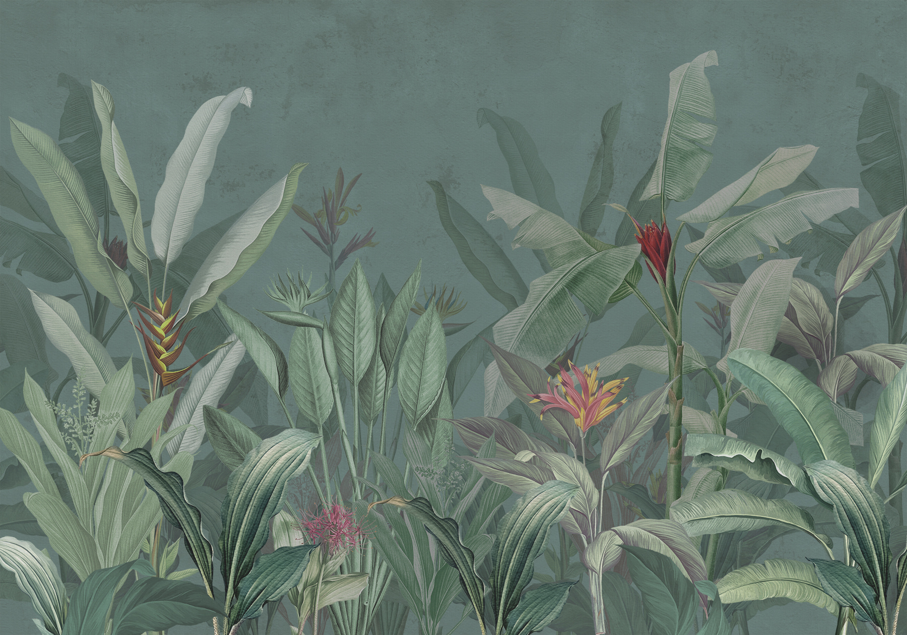 Wallpaper with plants and flowers