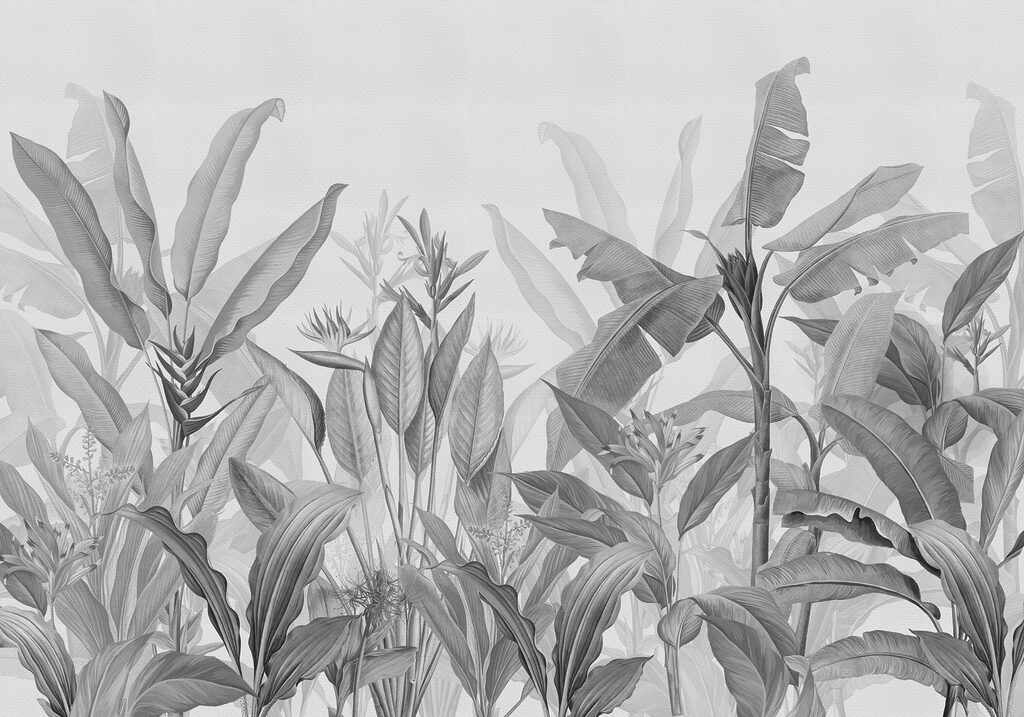 Grande plano de plantas Grande plano de plantas