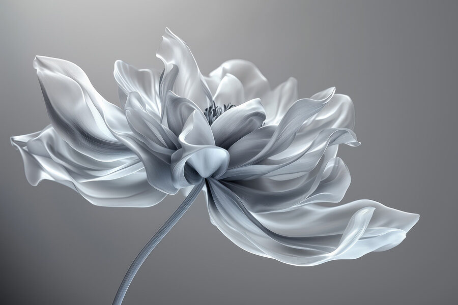 Flor branca com um caule longo