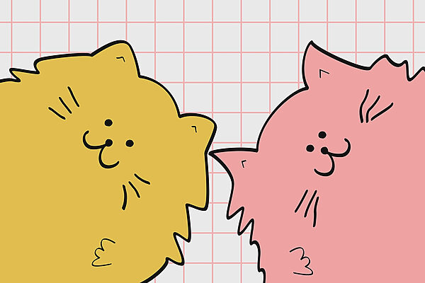 Gato amarelo e cor-de-rosa Gato amarelo e cor-de-rosa