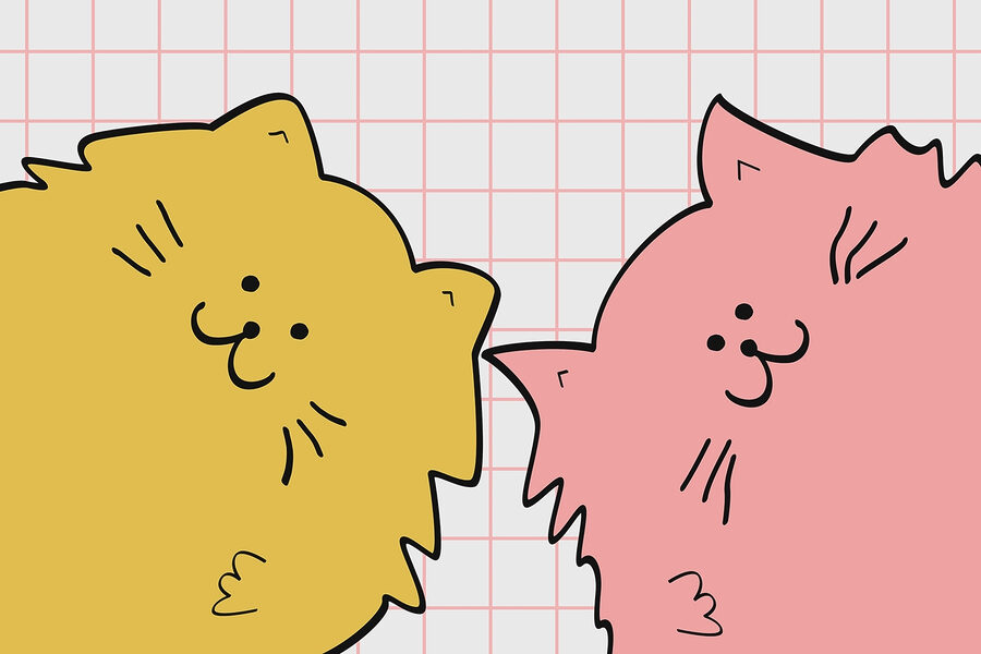 Gato amarelo e cor-de-rosa