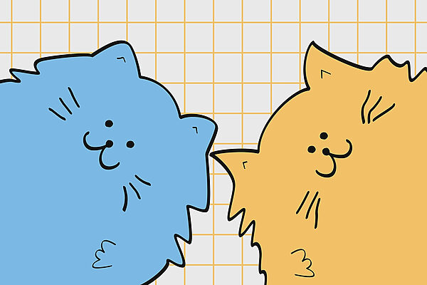 Gato azul e amarelo Gato azul e amarelo