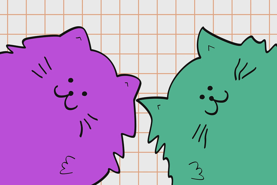 Gato roxo e verde