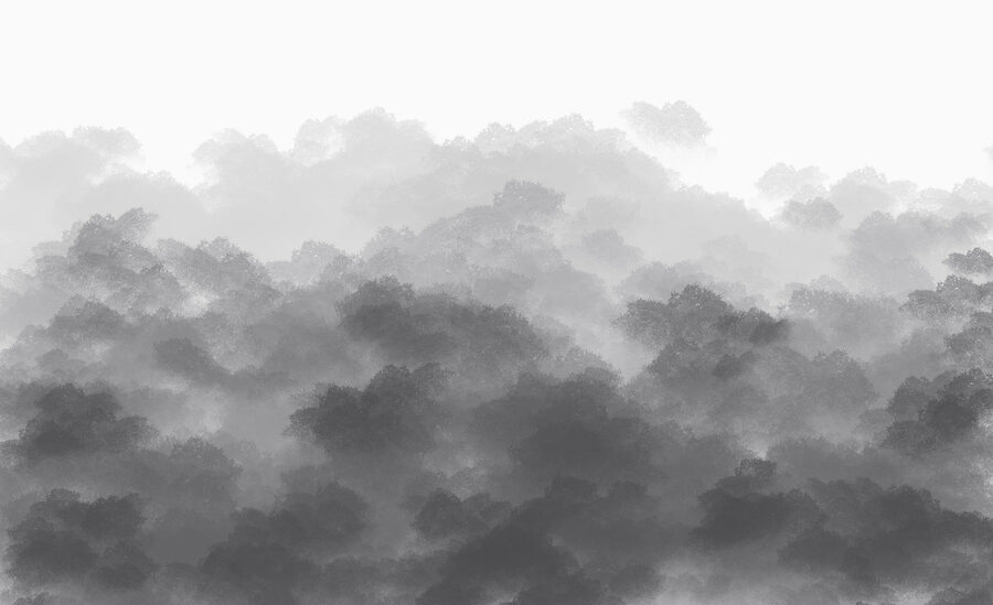 Imagem a preto e branco de nuvens