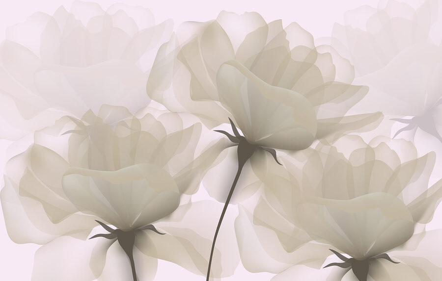 Grupo de flores brancas