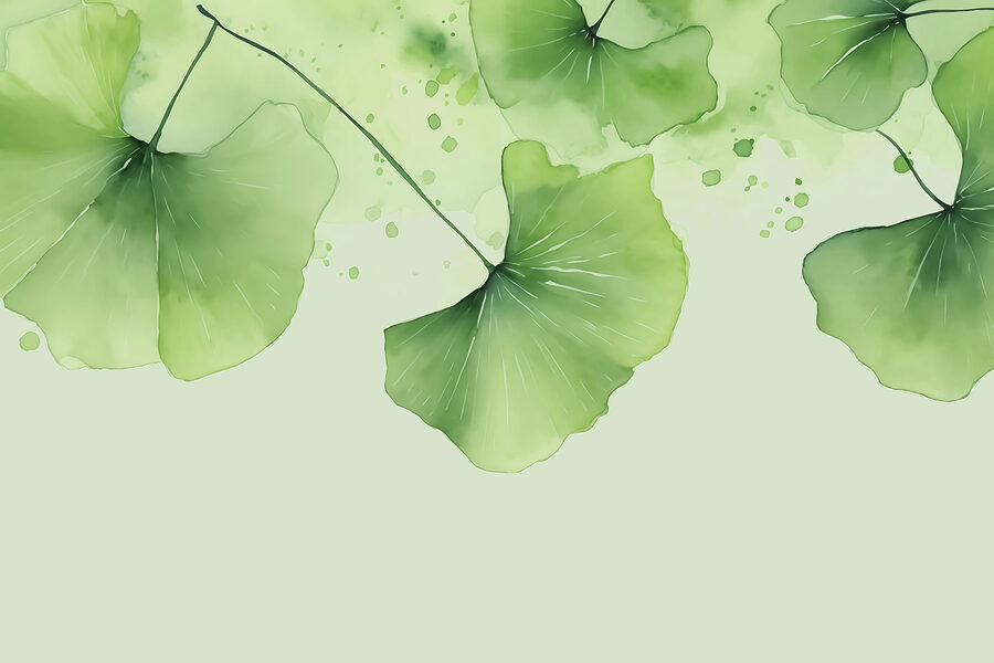 Elegantes folhas verdes em tons suaves Elegantes folhas verdes em tons suaves