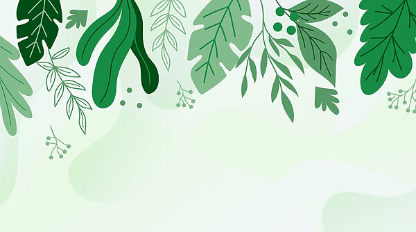 Folhas e ramos verdes Folhas e ramos verdes