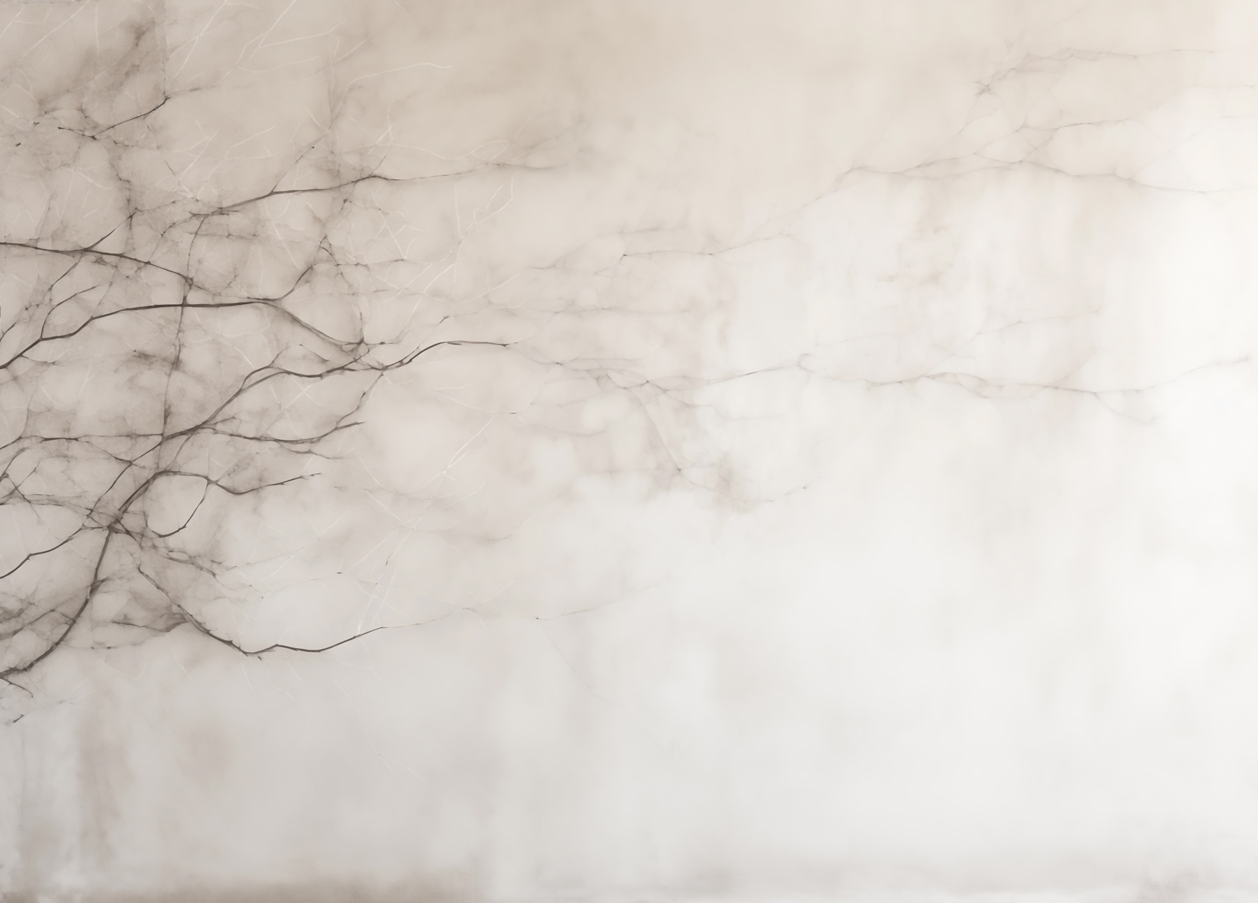 Tree branch with no leaves