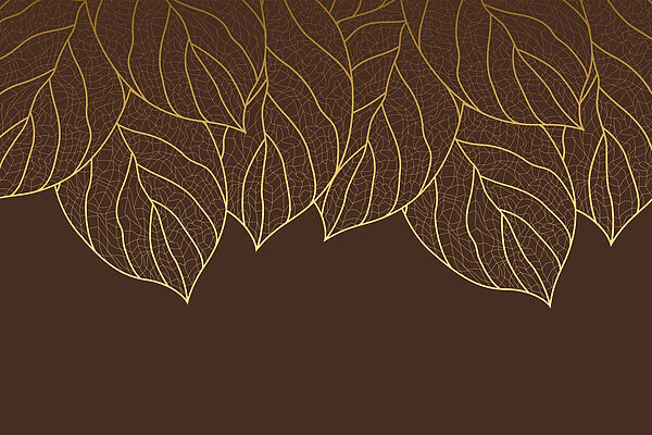 Grupo de folhas sobre um fundo castanho Grupo de folhas sobre um fundo castanho
