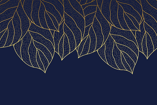 Padrão elegante de folhas sobre fundo escuro Padrão elegante de folhas sobre fundo escuro