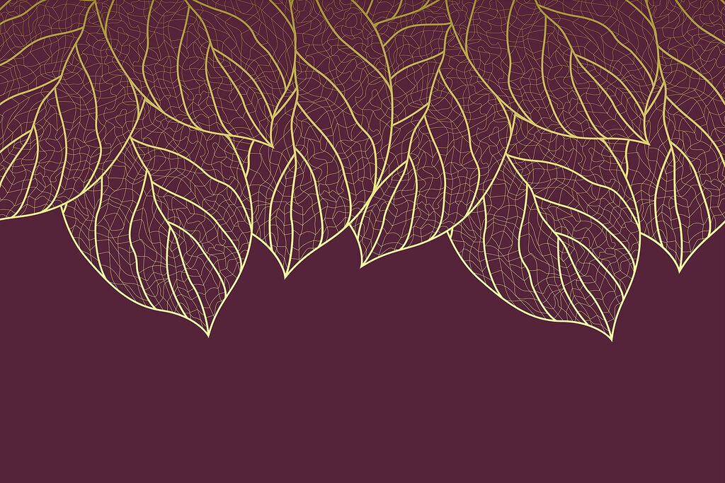 Folhas elegantes sobre fundo castanho escuro Folhas elegantes sobre fundo castanho escuro
