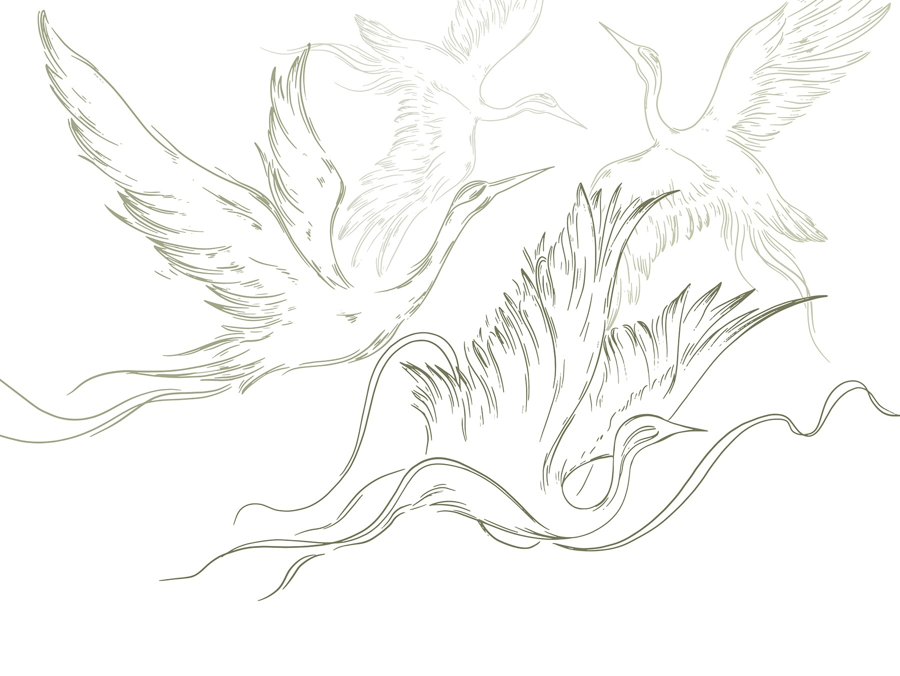 Drawing of birds flying