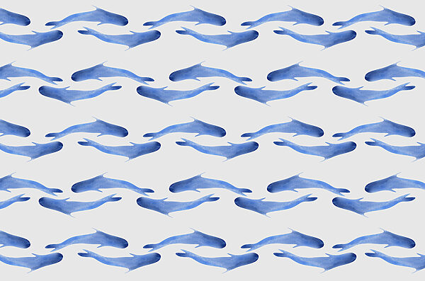 Grupo de peixes azuis Grupo de peixes azuis