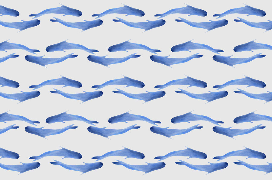 Grupo de peixes azuis