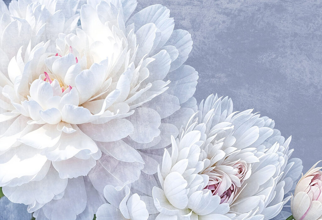 Flores delicadas em cores suaves Flores delicadas em cores suaves