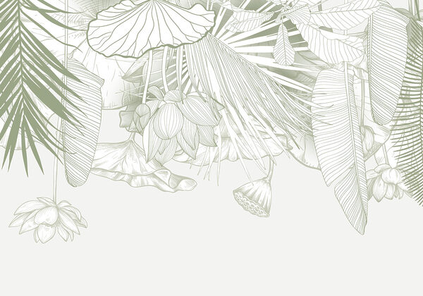 Arte de traço delicada da flora tropical Arte de traço delicada da flora tropical