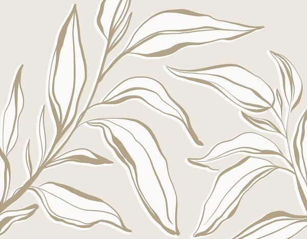 Folhas delicadas sobre um fundo suave Folhas delicadas sobre um fundo suave