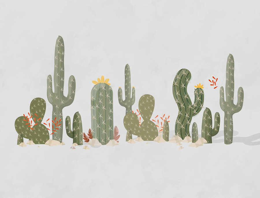 Grupo de cactos em fila