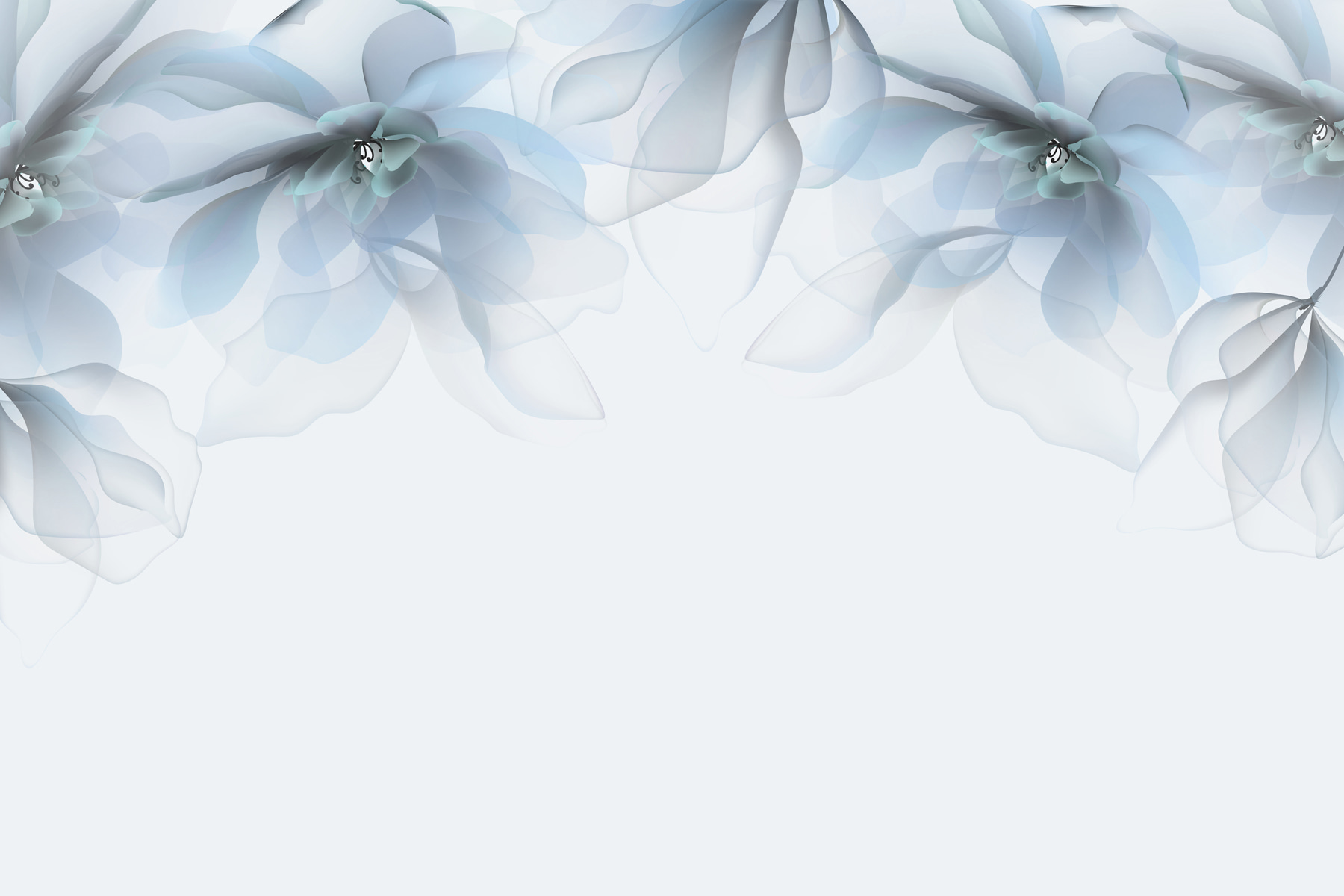 Group of flowers with white and blue flowers Group of flowers with white and blue flowers