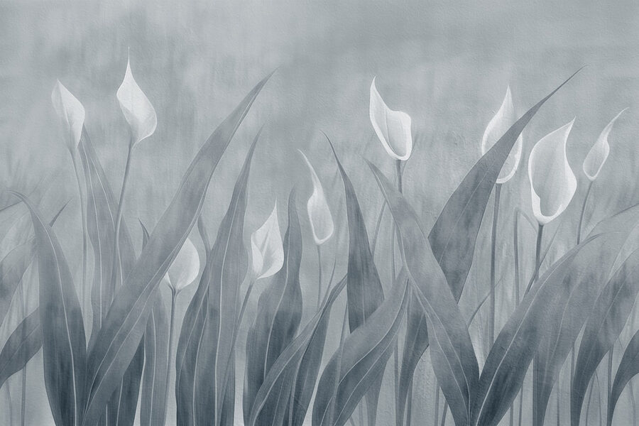 Papel de parede Pétalas suaves numa paisagem tranquila - Image 4
