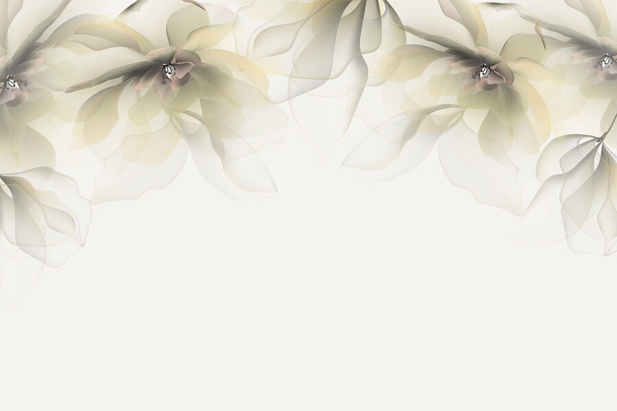 Papel de parede Flores brancas e bege - Image 3