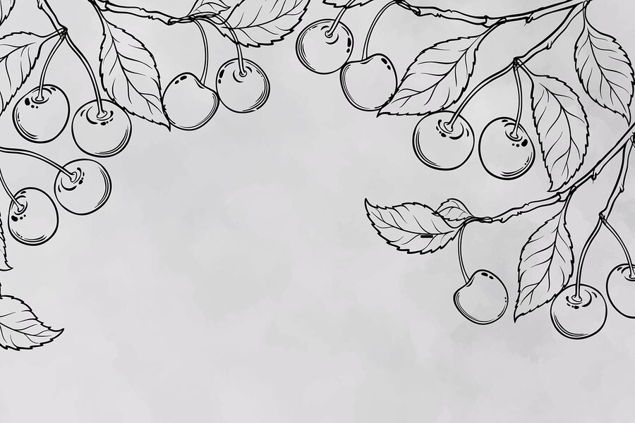 Desenho de cerejas num ramo Desenho de cerejas num ramo