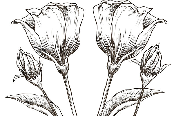 Desenho de flores sobre um fundo branco Desenho de flores sobre um fundo branco