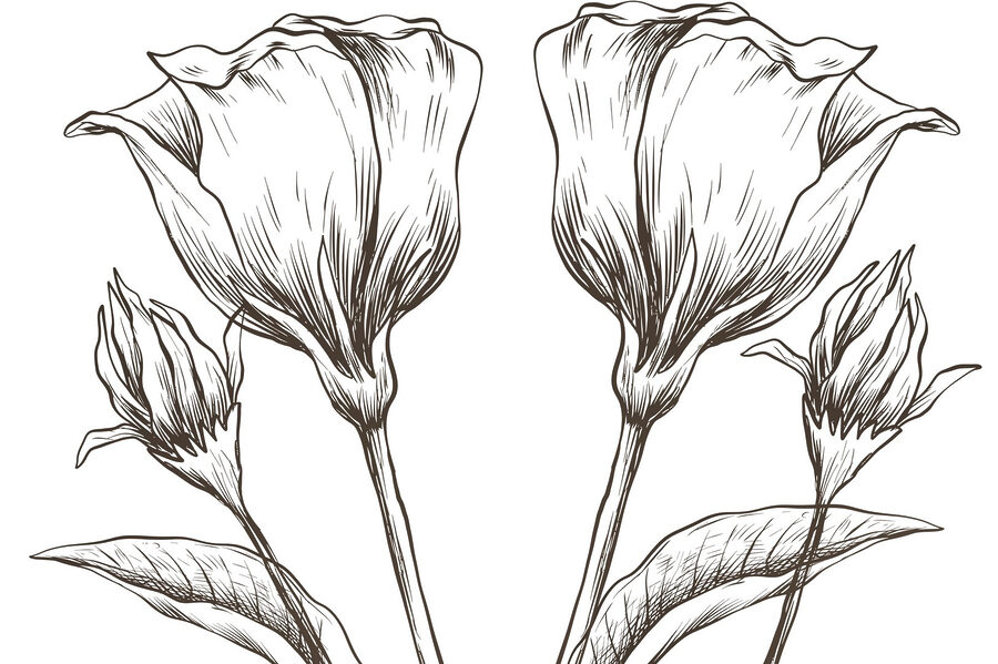 Desenho de flores sobre um fundo branco