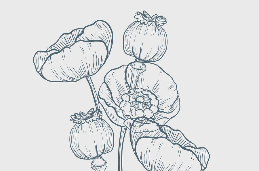 Desenho de flores e botões