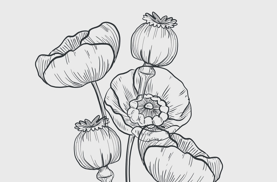 Papel de parede Desenho de flores sobre um fundo branco - Image 3