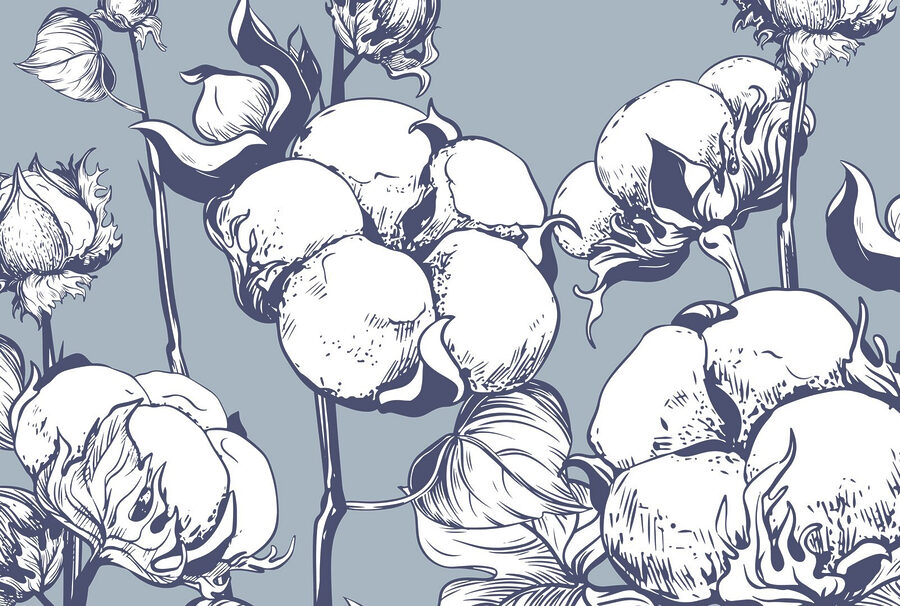 Delicadas flores de algodão sobre fundo azul