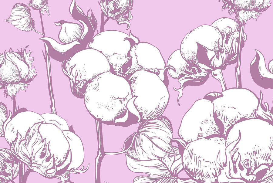 Papel de parede Flores de algodão num fundo suave - Image 3