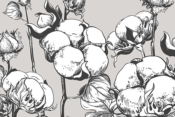 O algodão delicado floresce em monocromático. O algodão delicado floresce em monocromático.