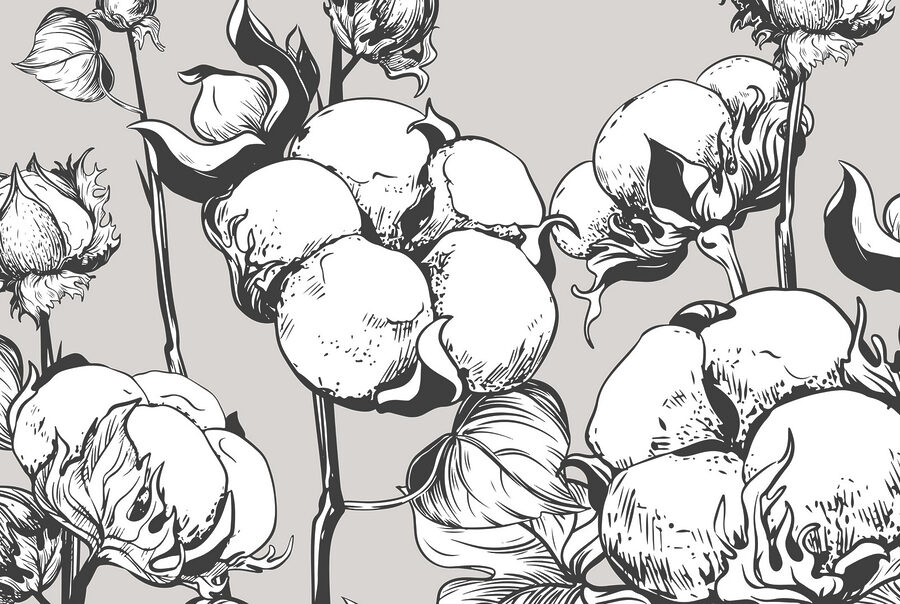 O algodão delicado floresce em monocromático.