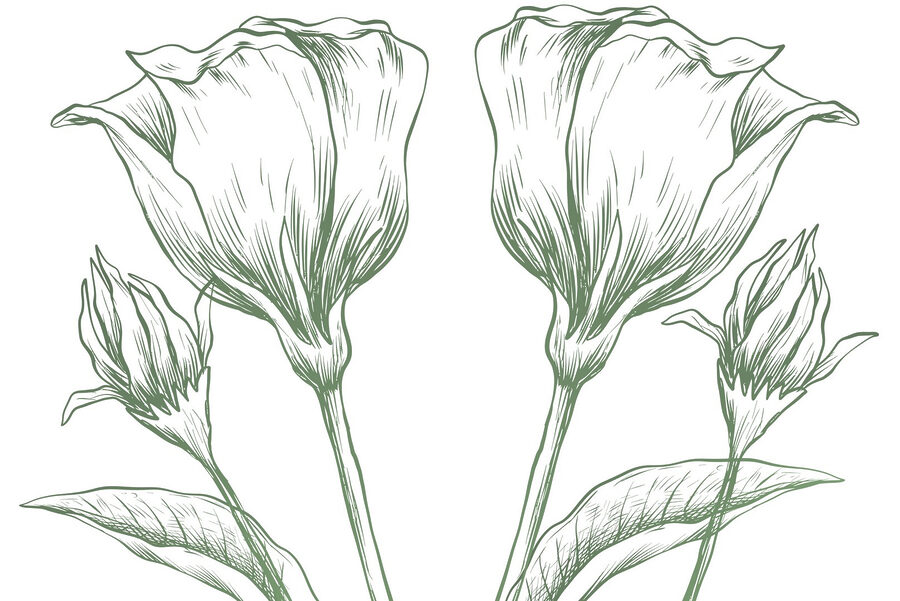 Desenho de flores e folhas