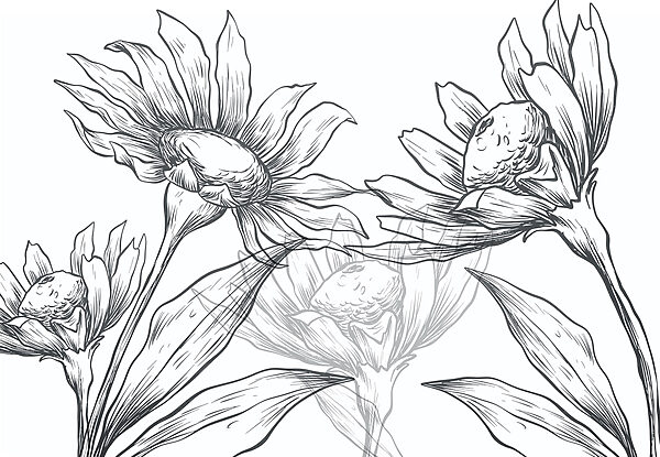 Desenho de flores com folhas Desenho de flores com folhas