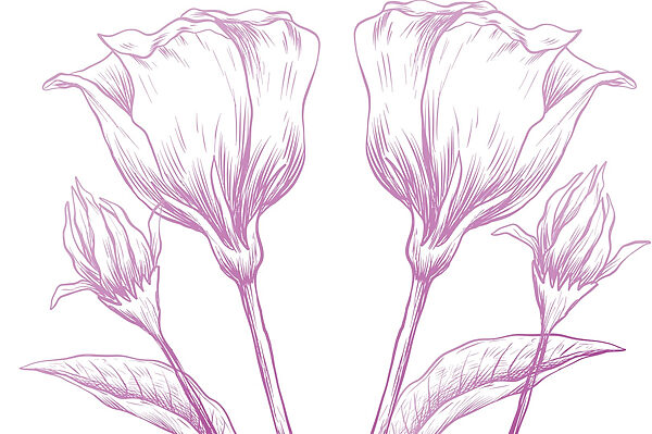 Flores delicadas em tons pastel suaves Flores delicadas em tons pastel suaves