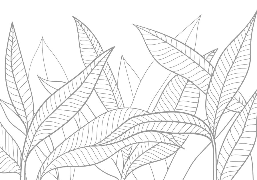 Desenho de linhas de folhas