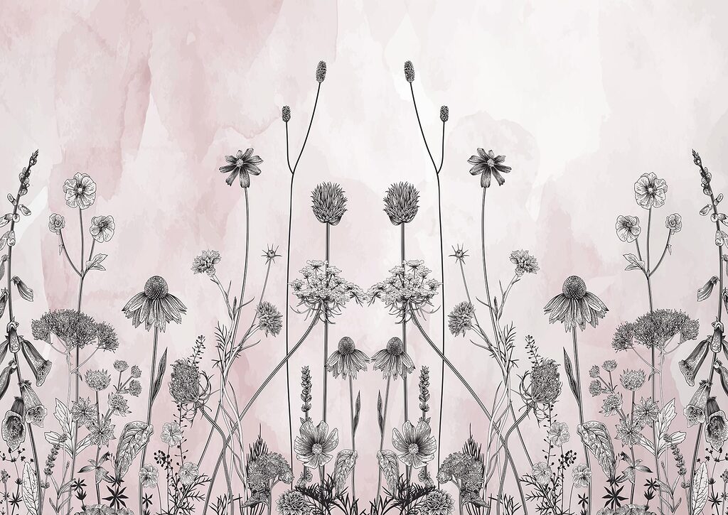 Desenho de flores e plantas Desenho de flores e plantas