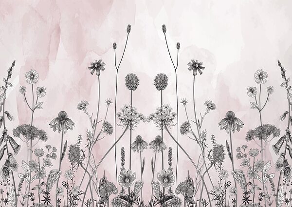 Desenho de flores e plantas Desenho de flores e plantas